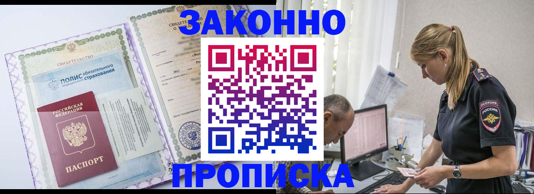 прописка поиск в Бородино